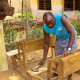 Local carpenter making the desks
